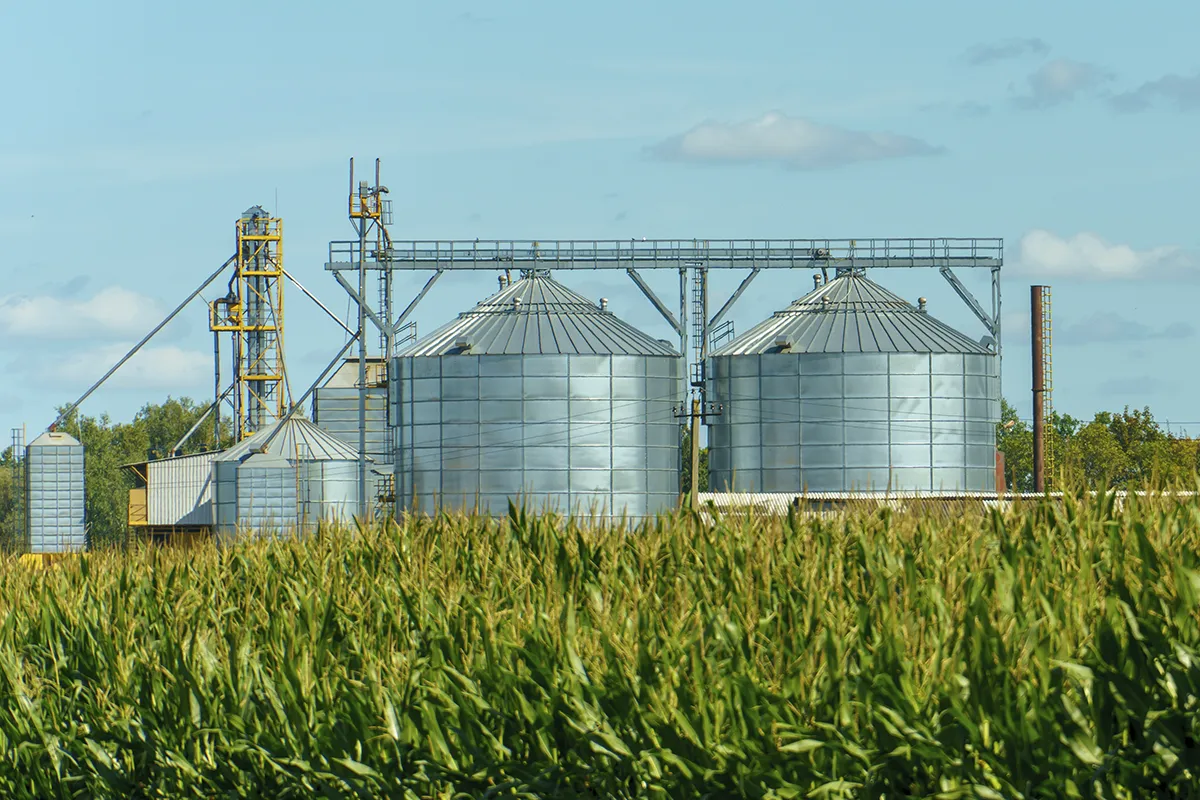 autogeradora_site_area_de_atuacao_1200x800px_agronegocio